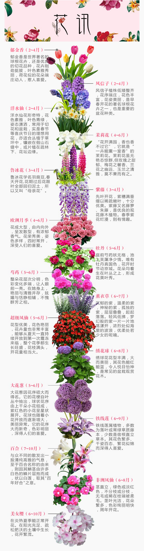 常州花谷奇缘游玩攻略