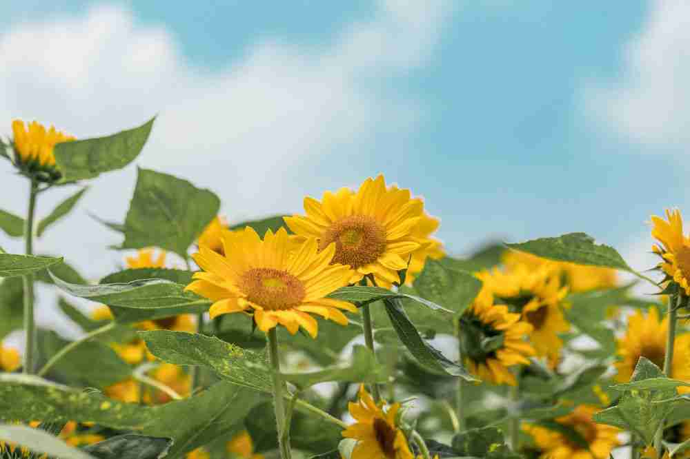 宁波植物园赏花攻略（附活动详情）