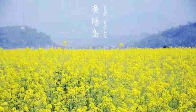 2019年重庆赏花:15个赏花好去处