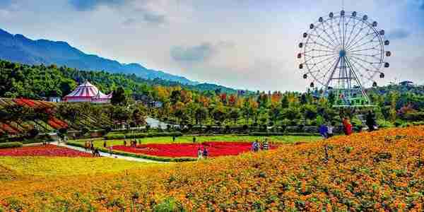 2019重庆铜梁奇彩梦园花海花神旅游节时间、地点、门票