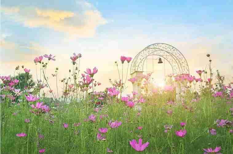 2019重庆铜梁奇彩梦园花海花神旅游节时间、地点、门票