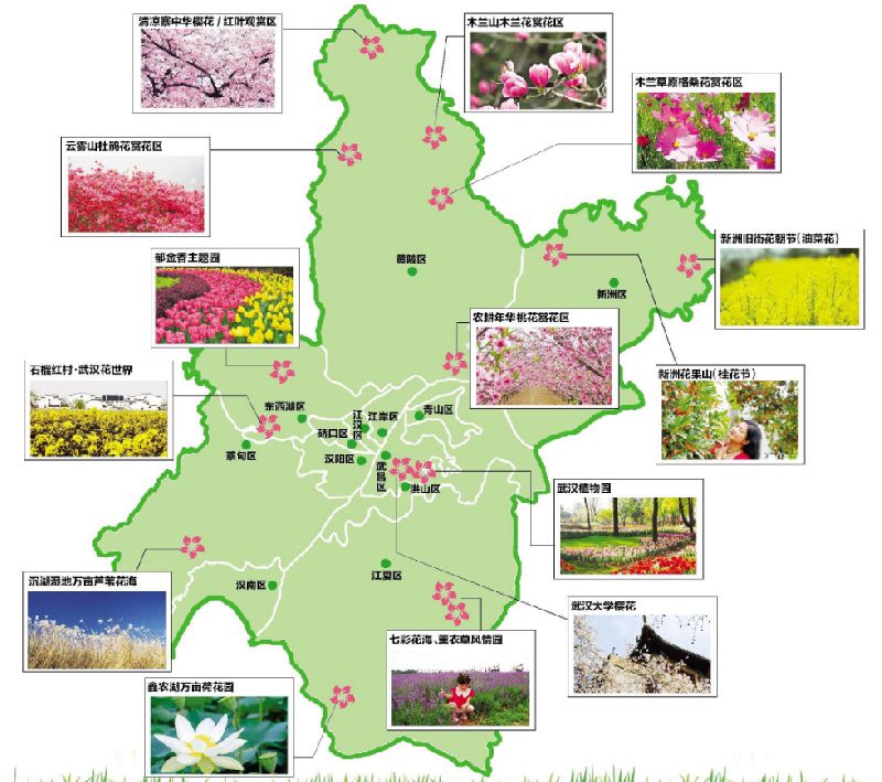 2018武汉赏花地图出炉 花期及地图大全