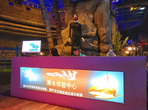 西安华夏文旅海洋公园游玩攻略（地址 门票 表演时间）