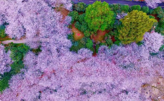 湖南省森林植物园门票多少钱(最新)