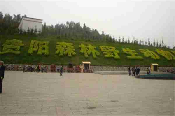 贵阳旅游攻略