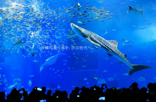 全球海洋馆排行榜