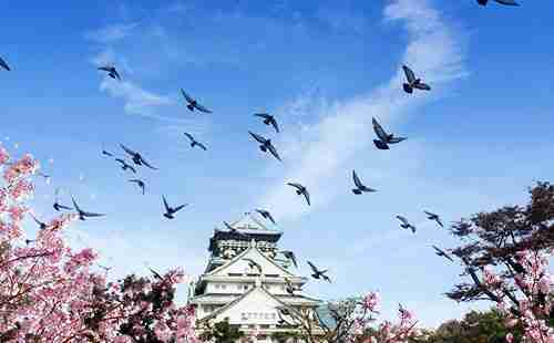 大阪城公园