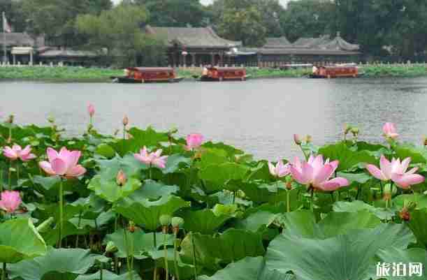 2020年夏天去什刹海好玩吗