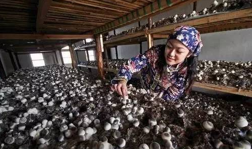 新洲有哪些洗脚按摩的地方
