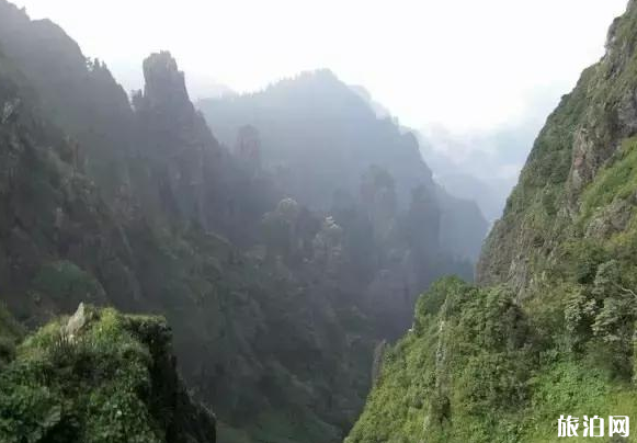 神龙架必去的景点推荐