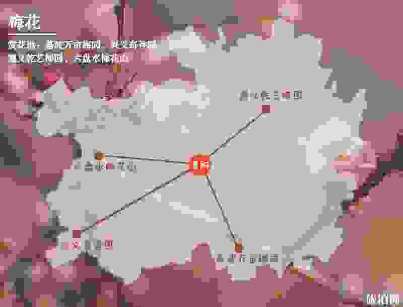 2019贵州赏花时间表 四月贵州哪里适合赏花 2019贵州赏花时间表 四月贵州哪里适合赏花