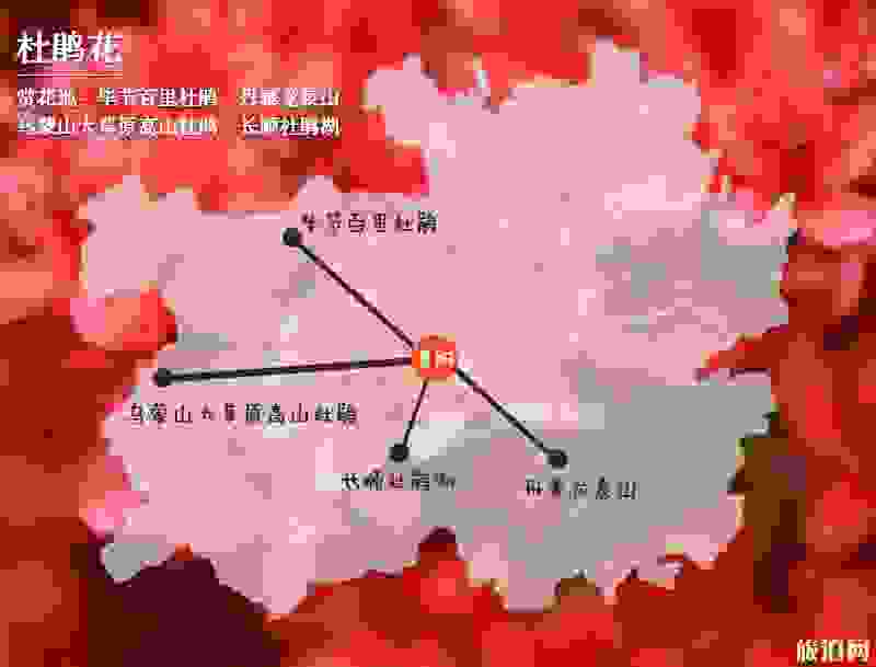 2019贵州赏花时间表 四月贵州哪里适合赏花 2019贵州赏花时间表 四月贵州哪里适合赏花