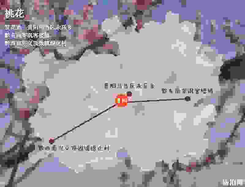 2019贵州赏花时间表 四月贵州哪里适合赏花 2019贵州赏花时间表 四月贵州哪里适合赏花