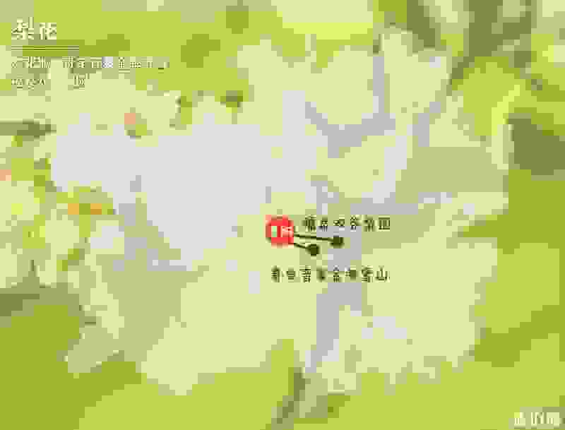 2019贵州赏花时间表 四月贵州哪里适合赏花 2019贵州赏花时间表 四月贵州哪里适合赏花