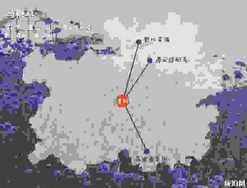 2019贵州赏花时间表 四月贵州哪里适合赏花 2019贵州赏花时间表 四月贵州哪里适合赏花