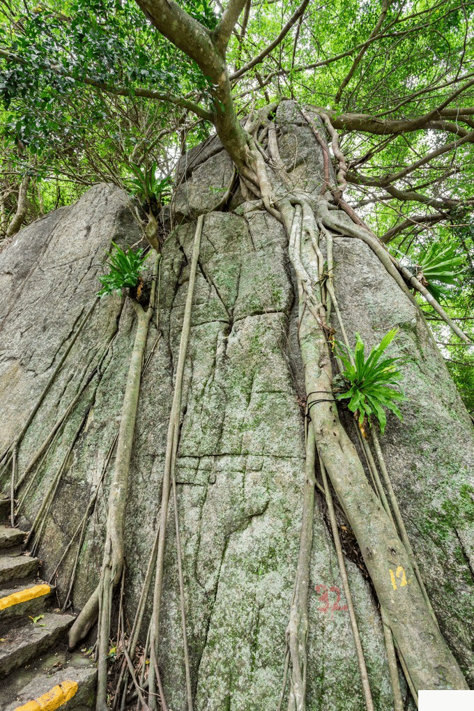 三亚五天四晚自由行旅游攻略超详细版 三亚五天四晚自由行旅游攻略超详细版