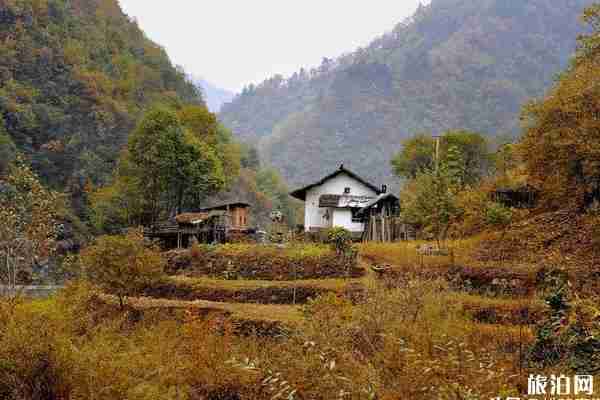 秦岭紫阁峪好玩吗 秦岭紫阁峪介绍 秦岭紫阁峪好玩吗 秦岭紫阁峪介绍