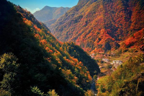 重庆红叶景区有哪些地方 2020重庆红叶观赏预期图