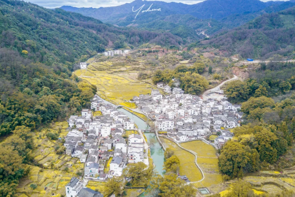 婺源油菜花几月份去最好-游玩攻略 婺源油菜花几月份去最好-游玩攻略