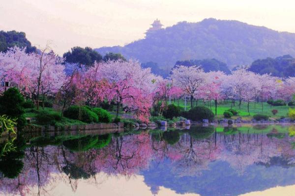 2021东湖磨山风景区需要预约吗 东湖磨山风景区游玩攻略