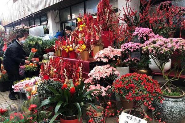 东莞春节买花去哪 东莞花卉市场批发市场在哪里 东莞春节买花去哪 东莞花卉市场批发市场在哪里