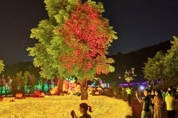 2021南宁青秀山夜游灯展开放时间-夜游地点