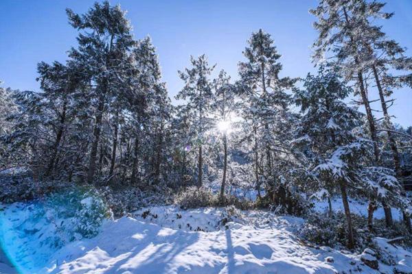 成都耍雪有哪些地方 成都周边雪山有哪些 成都耍雪有哪些地方 成都周边雪山有哪些