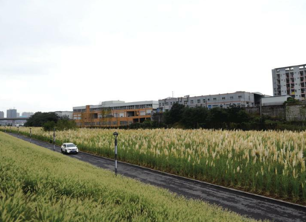 重庆草海湾公园在哪里-怎么坐车 重庆草海湾公园在哪里-怎么坐车