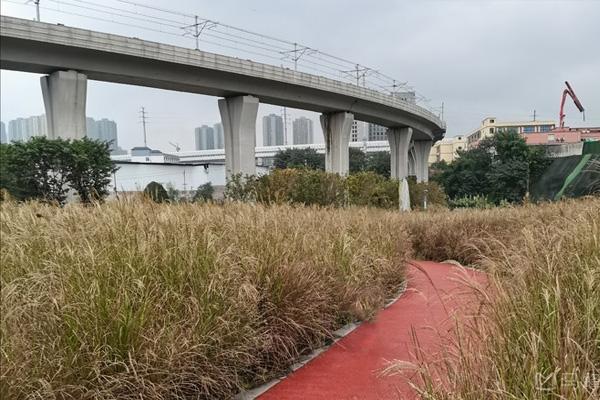 重庆草海湾公园在哪里-怎么坐车 重庆草海湾公园在哪里-怎么坐车