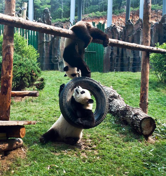 大连亲子游必玩景点推荐 大连亲子游必玩景点推荐