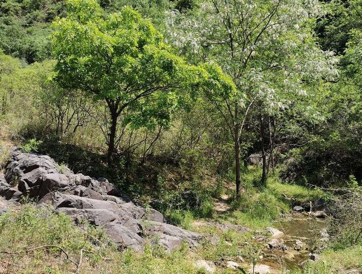 禹门河水库介绍 禹门河水库好玩吗 禹门河水库介绍 禹门河水库好玩吗