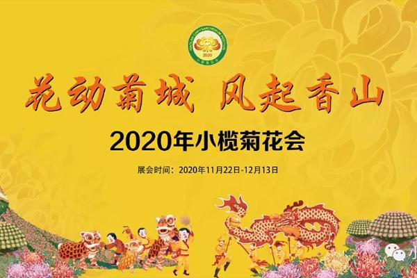 小榄菊花会2020表演活动介绍及交通管制汇总