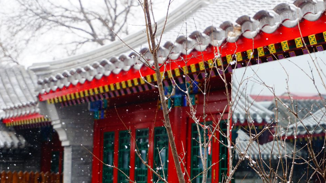 北京下雪了吗今天2020 下雪北京哪里好玩 北京下雪了吗今天2020 下雪北京哪里好玩