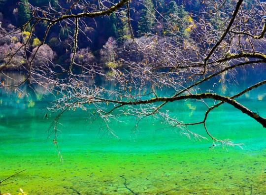 2020九寨沟11月份能去吗 及九寨沟旅游攻略