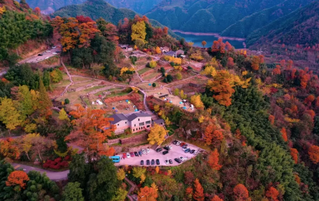 四明山红叶什么时候比较好 余姚有什么好吃的餐厅