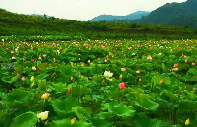 2021夏天什么时候开始 今年夏天热不热-夏天旅游推荐 2021夏天什么时候开始 今年夏天热不热-夏天旅游推荐
