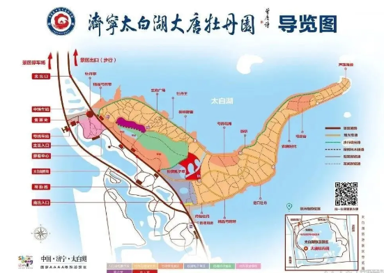 2021济宁太白湖牡丹花会门票免费活动及游玩攻略-新增公交专线站点信息 2021济宁太白湖牡丹花会门票免费活动及游玩攻略-新增公交专线站点信息
