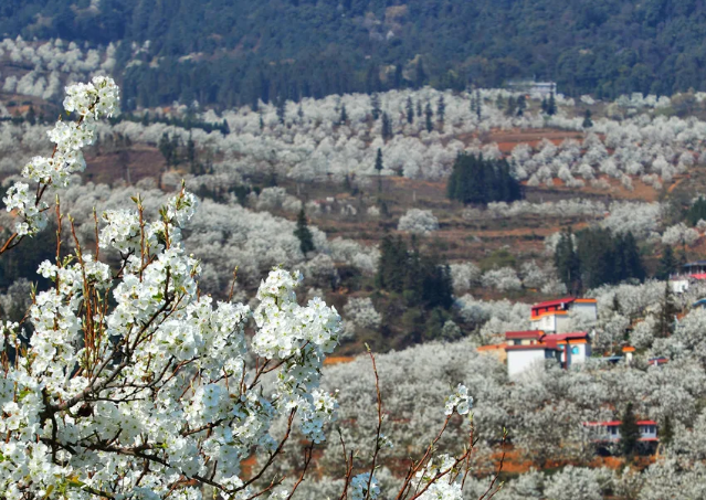 再见少年拍摄地点 云南个旧取景地介绍 再见少年拍摄地点 云南个旧取景地介绍