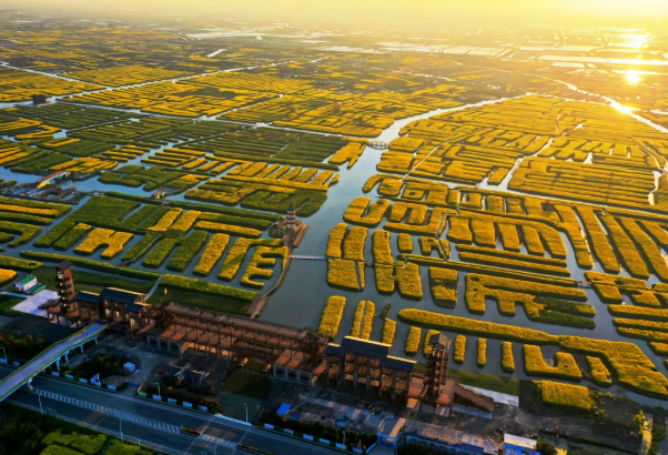 2021泰州秋雪湖郁金香花展时间及活动详情 2021泰州秋雪湖郁金香花展时间及活动详情