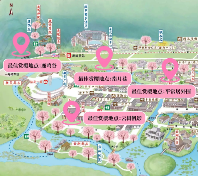 无锡樱花开放时间2021-桃花及郁金香花期汇总 无锡樱花开放时间2021-桃花及郁金香花期汇总