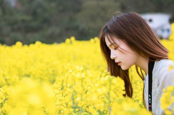 油菜花拍照姿势图片大全 油菜花拍照技巧 油菜花拍照姿势图片大全 油菜花拍照技巧