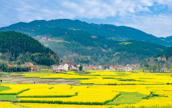 2021婺源自驾游最佳路线 2021婺源自驾游最佳路线