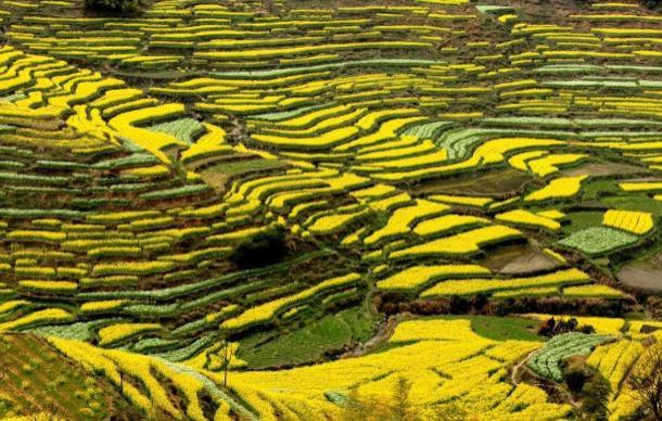 2021婺源自驾游最佳路线 2021婺源自驾游最佳路线