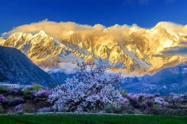 2021林芝桃花最佳拍摄点 林芝桃花哪里最漂亮 2021林芝桃花最佳拍摄点 林芝桃花哪里最漂亮