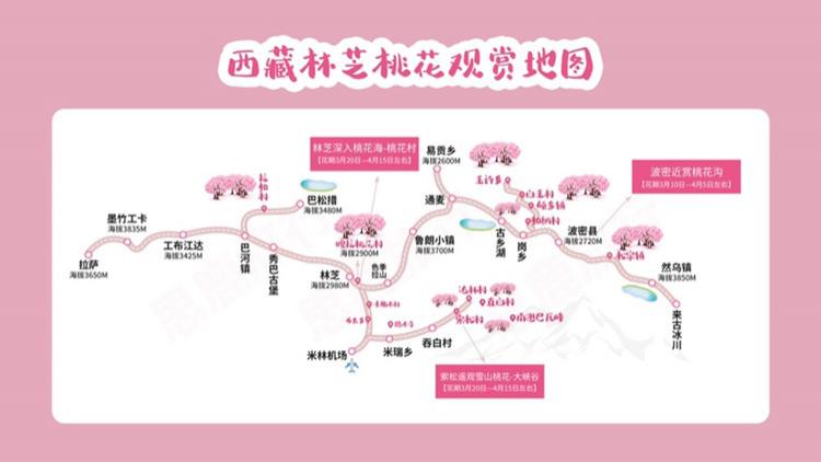 2021林芝桃花最佳拍摄点 林芝桃花哪里最漂亮 2021林芝桃花最佳拍摄点 林芝桃花哪里最漂亮