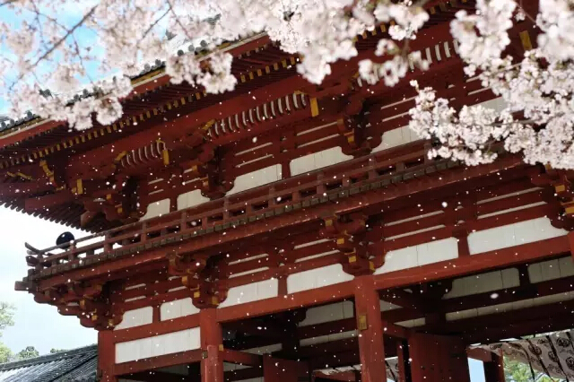 日本奈良