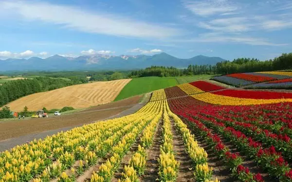 日本北海道旅游