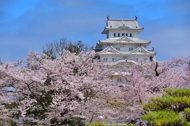 日本姬路城
