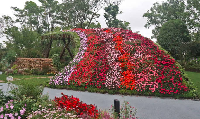 第十届中国花卉博览会的会花是什么?牡丹（2021年6月8日上海举行）