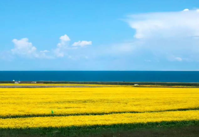 中国最大的湖泊是什么湖，青海湖（中国最大的咸水湖）